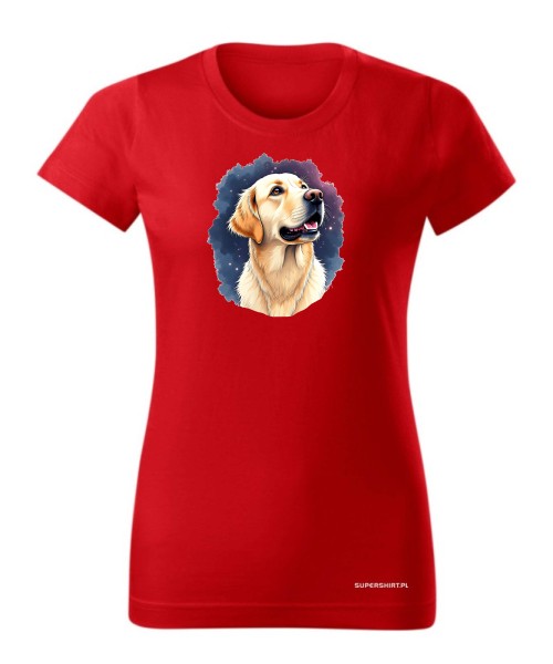 Golden retriever kosmos