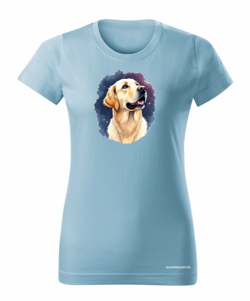 Golden retriever kosmos