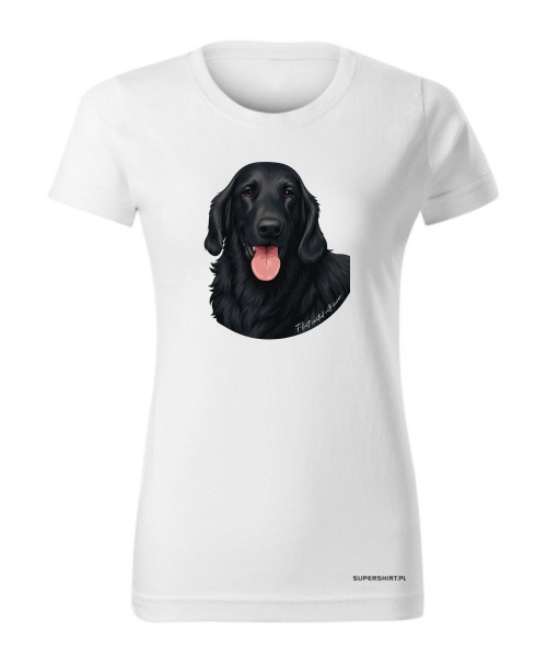 Flat coated retriever 1