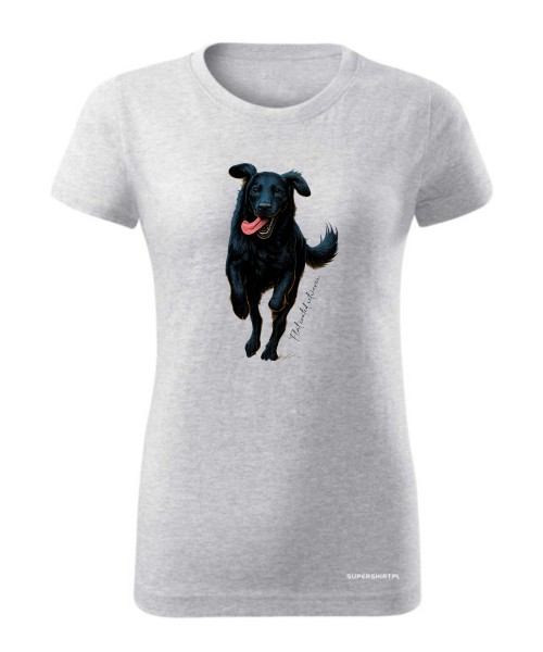 Flat coated retriever 2