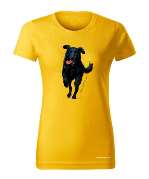 Flat coated retriever 2