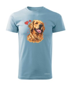 Golden Retriever serca