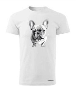 Buldog francuski