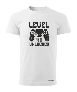 Level 40