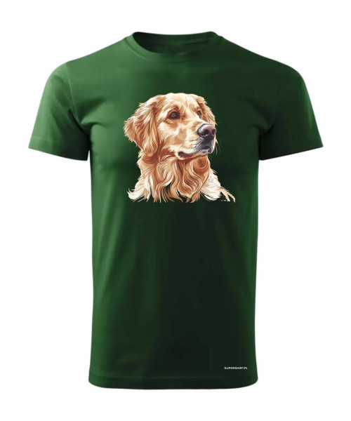 Golden retriever złoty