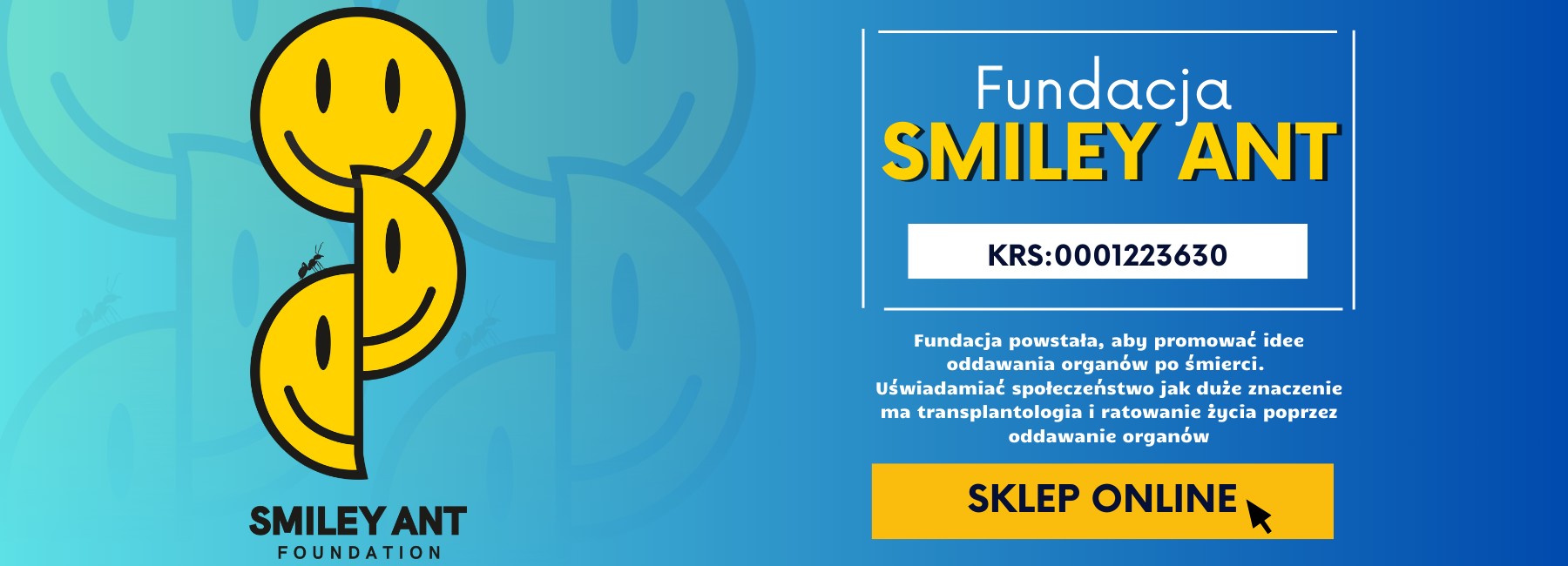 FUNDACJA SMILEY ANT